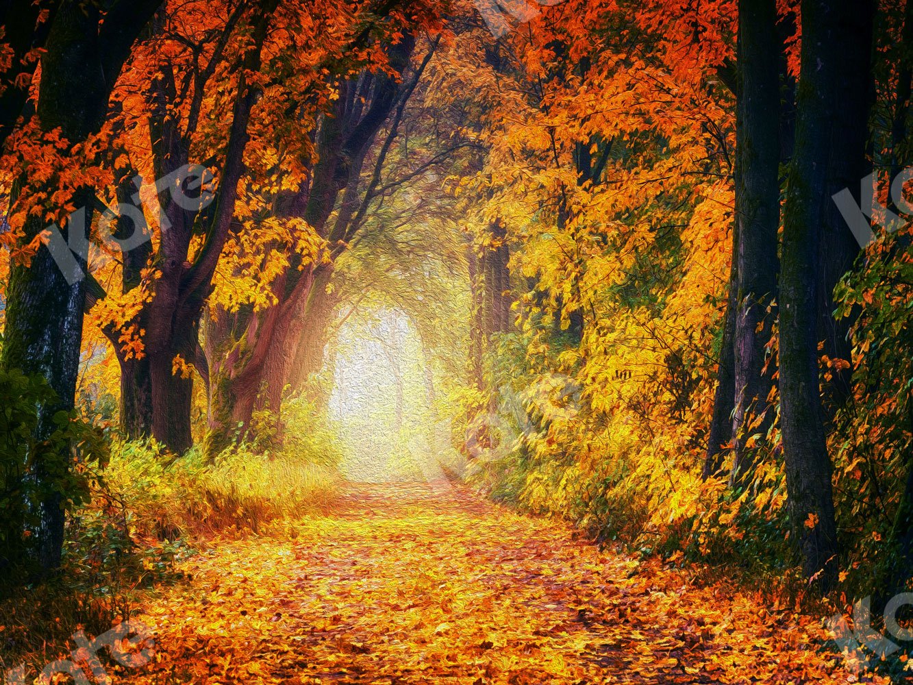 Kate Fall Backdrop Forest Road for Photography - Kate Backdrop AU