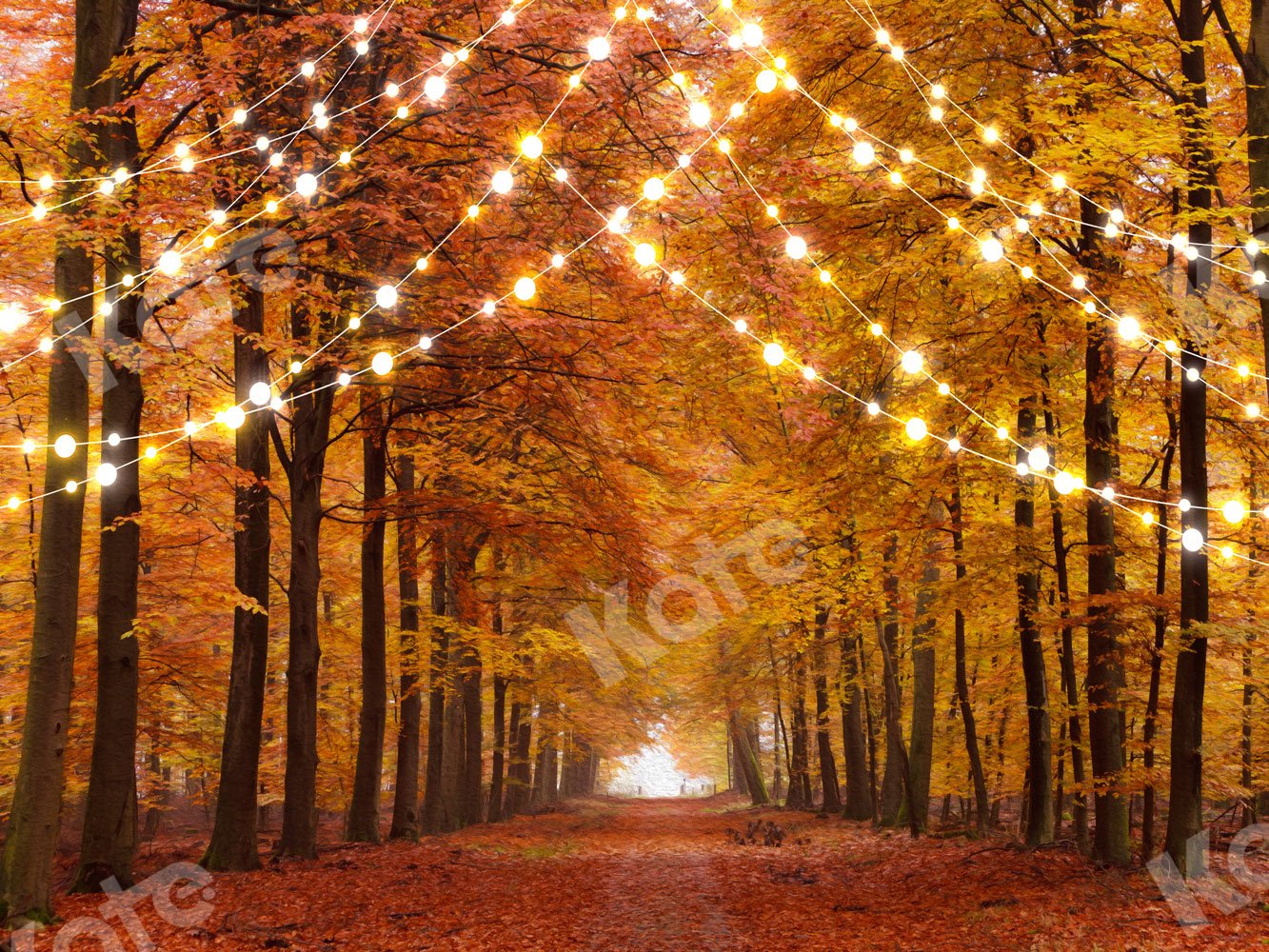 Kate Fall Backdrop Forest Road with Lights for Photography - Kate Backdrop AU