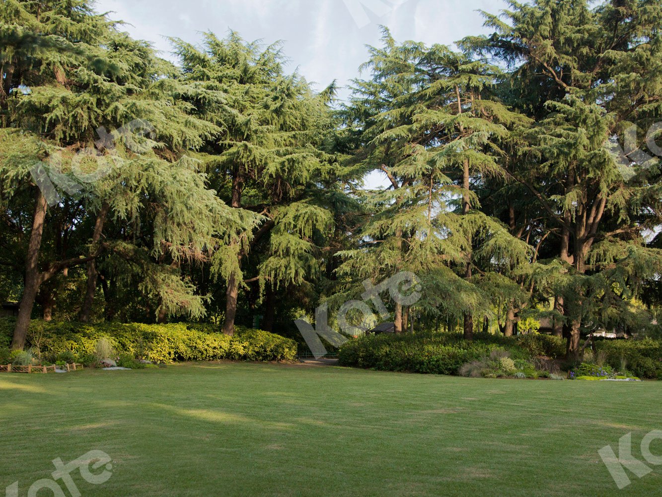 Kate Garden Grass Backdrop for Photography - Kate Backdrop AU