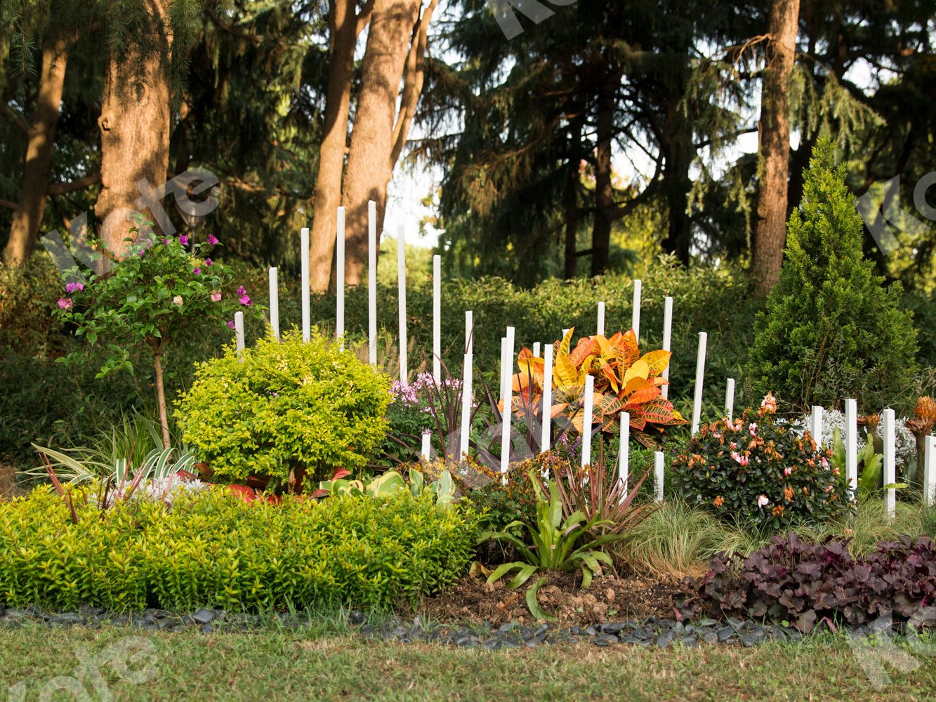 Kate Garden Bush Backdrop for Photography - Kate Backdrop AU