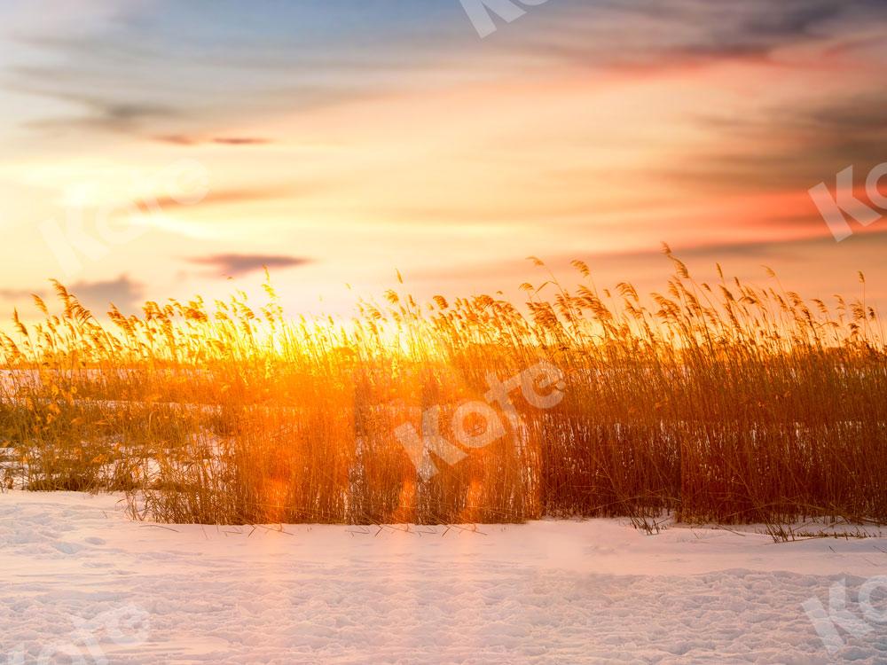 Kate Waterside Reed Sunset Backdrop for Photography - Kate Backdrop AU