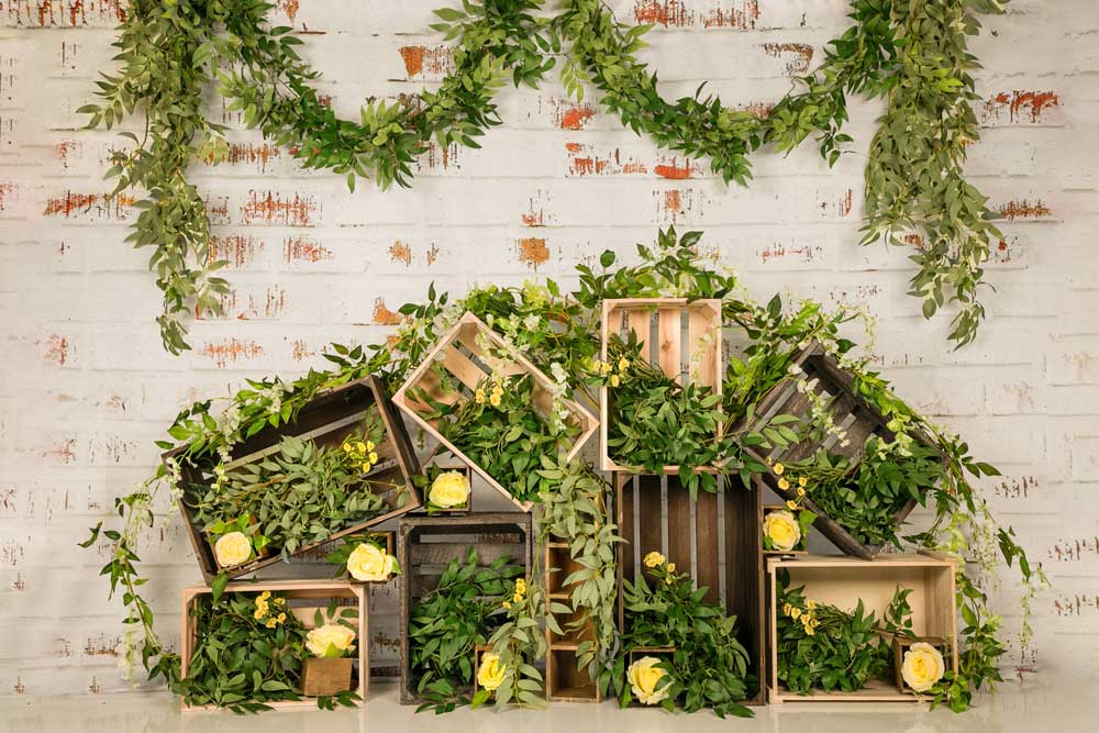 Kate Spring Grass Decorations Brick Wall Backdrop Designed by Jia Chan Photography - Kate Backdrop AU