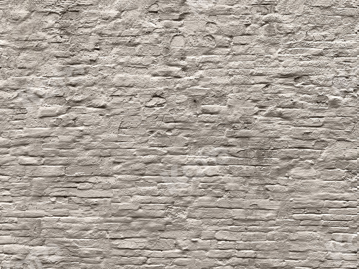Kate Old Brick Grey Wall Backdrop Designed by Jia Chan Photography - Kate Backdrop AU