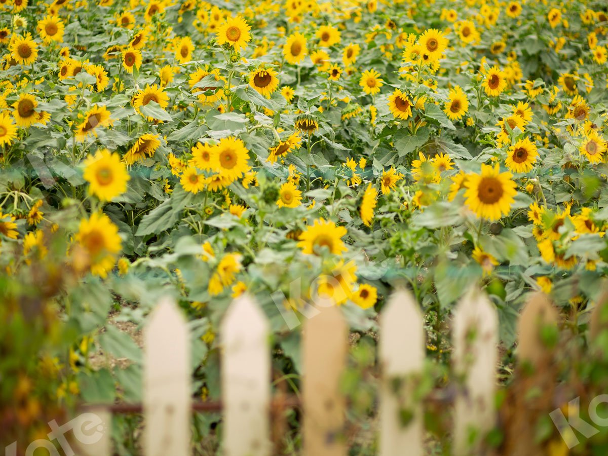 Kate Sunflower Garden Backdrop Designed by Jia Chan Photography - Kate Backdrop AU