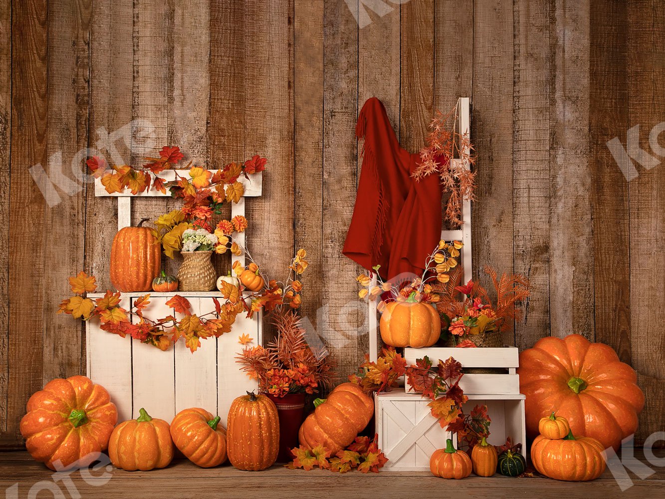 Kate Autumn/Thanksgiving Pumpkins Stand Backdrop Designed by Jia Chan Photography - Kate Backdrop AU