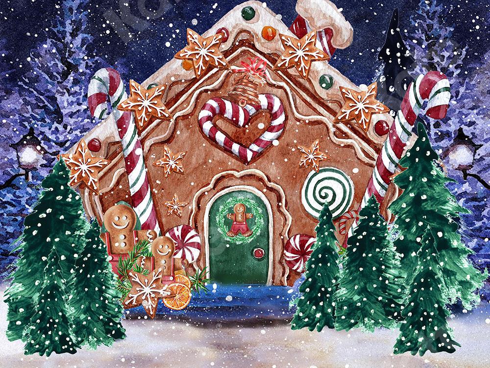 Kate Christmas Backdrop Outside Gingerbread House Designed by GQ - Kate Backdrop AU