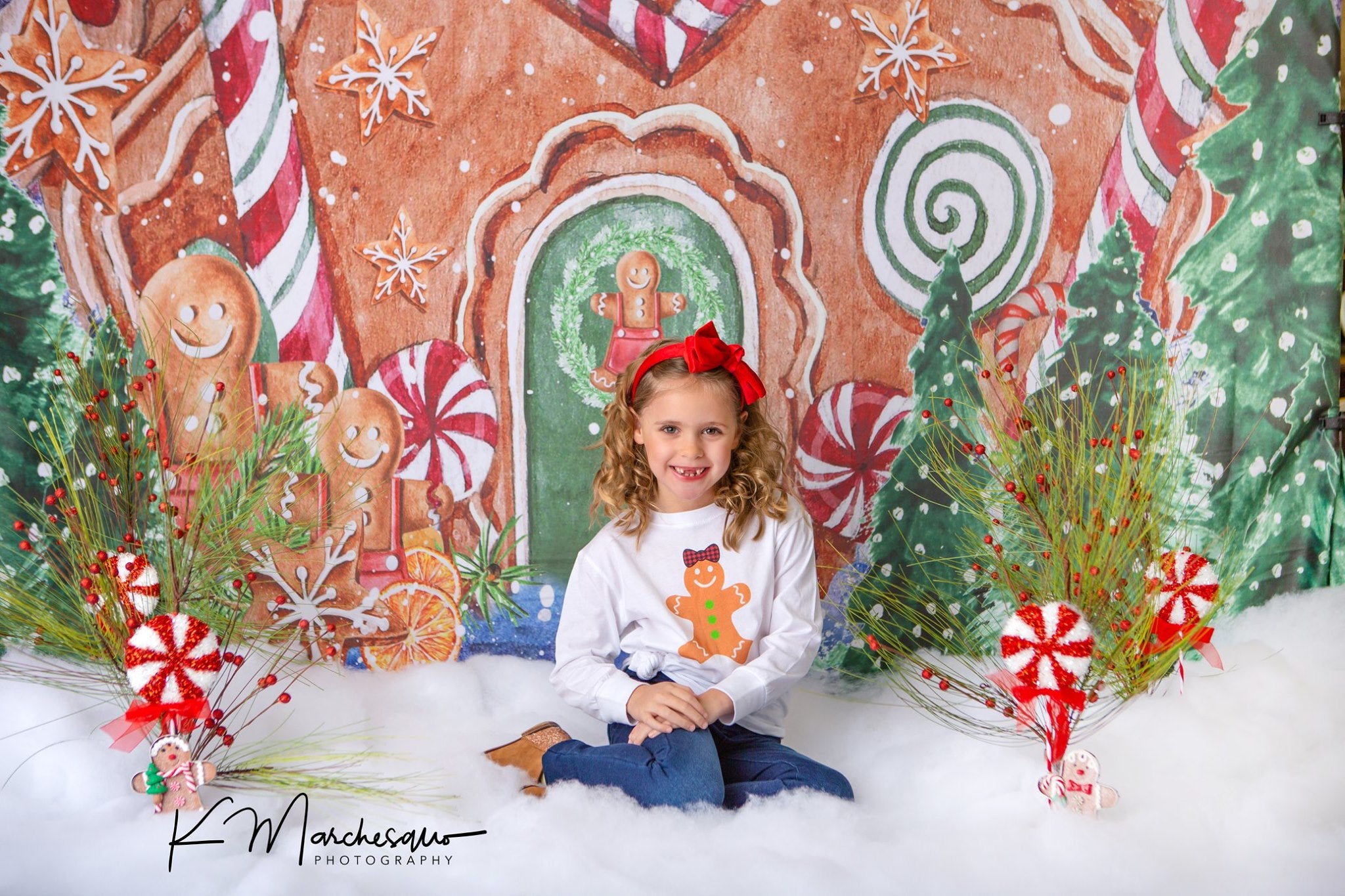 Kate Christmas Backdrop Outside Gingerbread House Designed by GQ - Kate Backdrop AU