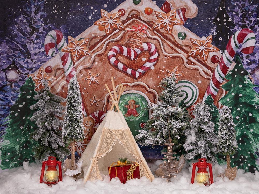 Kate Christmas Gingerbread House Tent Backdrop Designed by Emetselch - Kate Backdrop AU