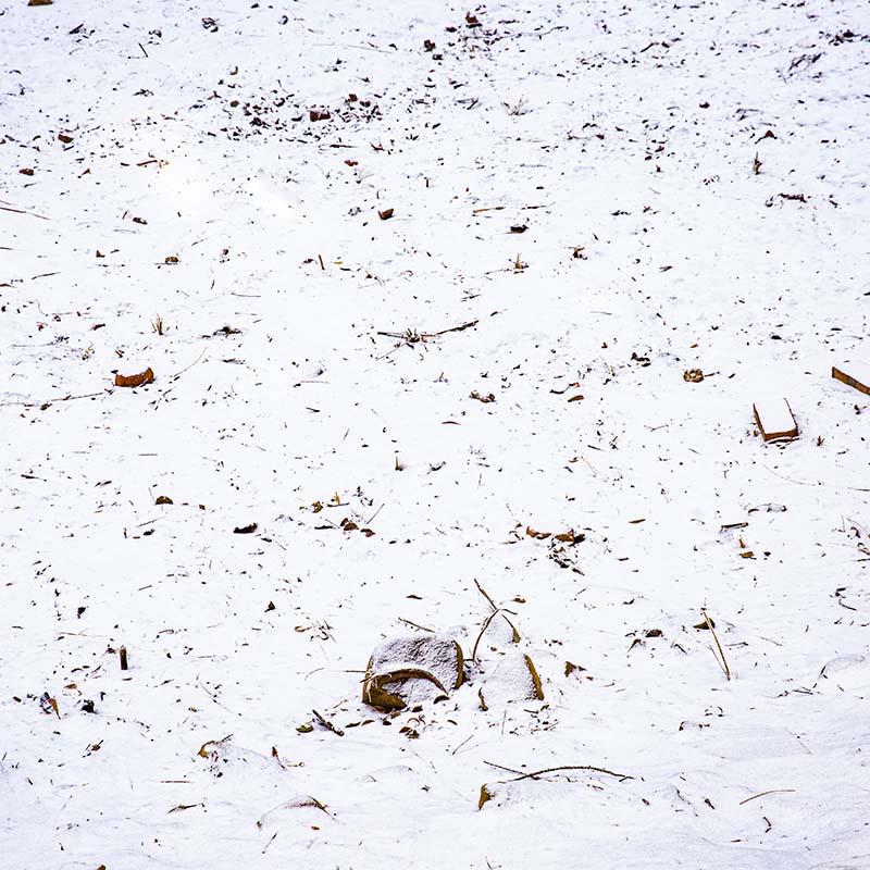 Kate Winter Snowfield Backdrop Designed by Emetselch - Kate Backdrop AU