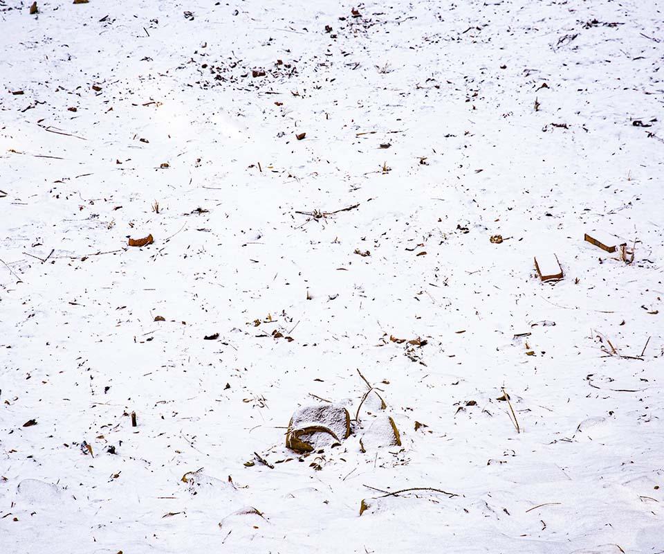 Kate Winter Snowfield Backdrop Designed by Emetselch - Kate Backdrop AU