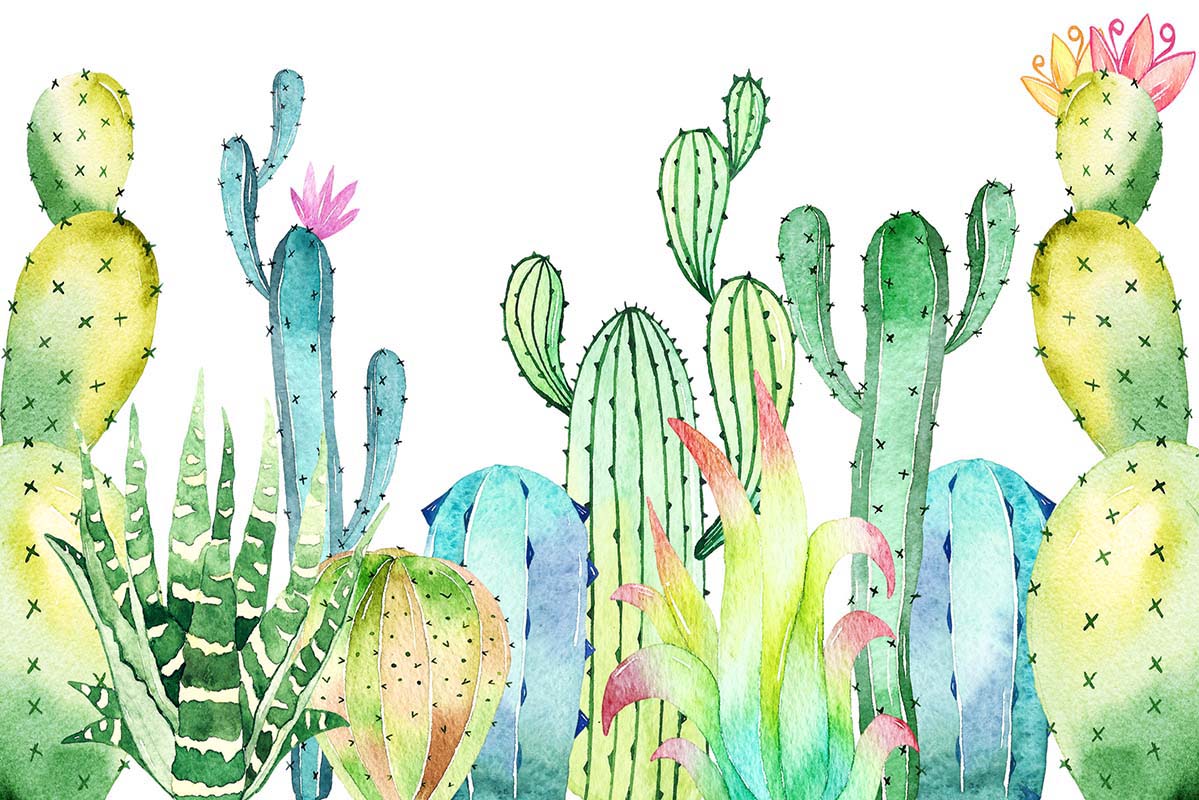 Kate Summer Cactus Cake Smash Fine Art Backdrop Designed by Chain Photography - Kate Backdrop AU
