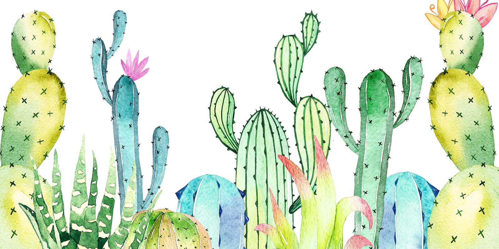 Kate Summer Cactus Cake Smash Fine Art Backdrop Designed by Chain Photography - Kate Backdrop AU
