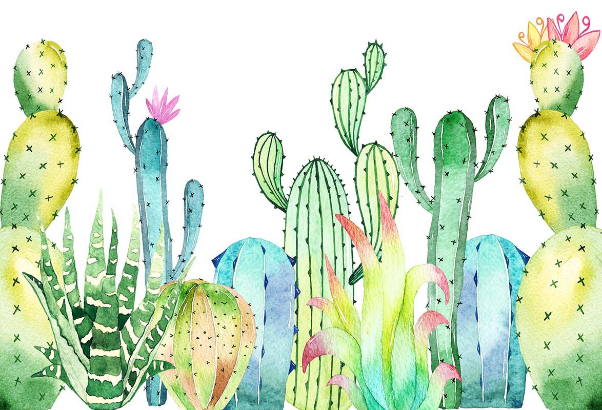 Kate Summer Cactus Cake Smash Fine Art Backdrop Designed by Chain Photography - Kate Backdrop AU