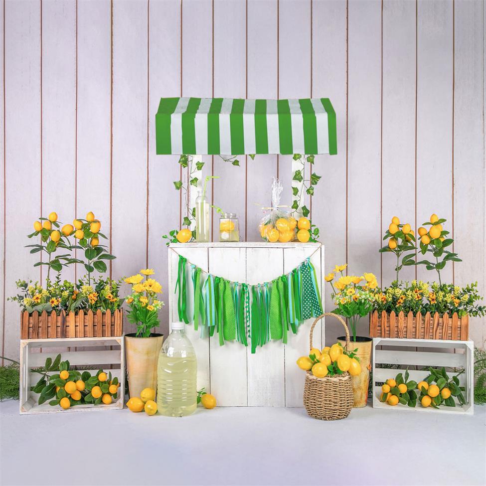 Kate Summer Lemonade Shop Backdrop Designed by Jia Chan Photography - Kate Backdrop AU