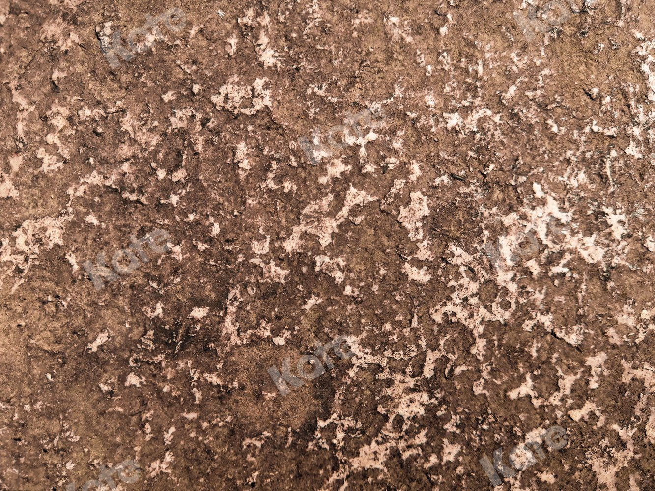 Kate Do Old Wall Backdrop Designed by Jia Chan Photography - Kate Backdrop AU