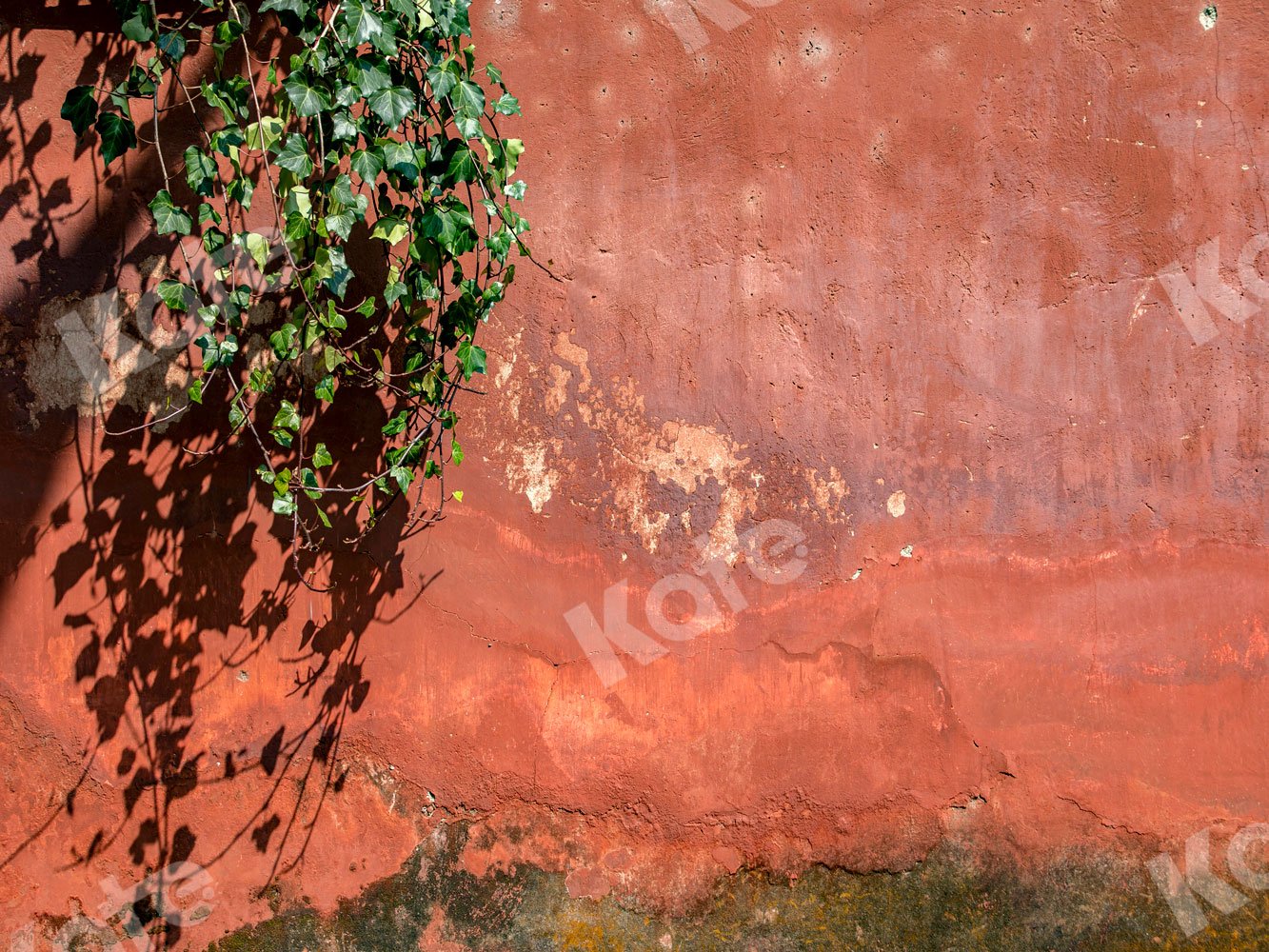 Kate Red Wall with Vine Backdrop Designed by Jia Chan Photography - Kate Backdrop AU