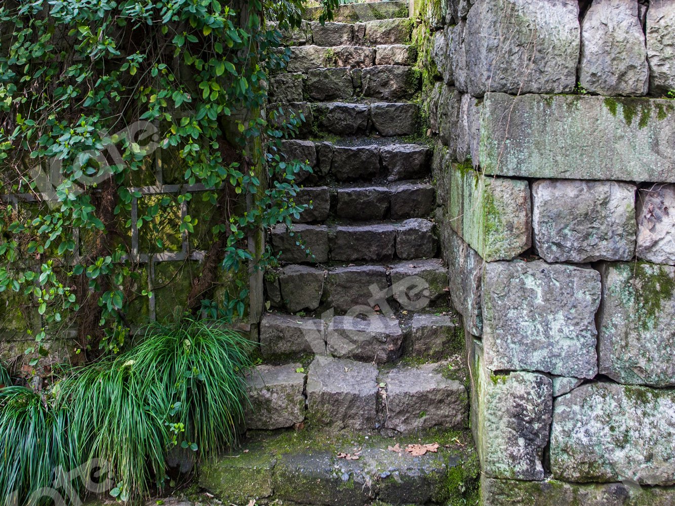 Kate Stone Steps Backdrop Designed by Jia Chan Photography - Kate Backdrop AU