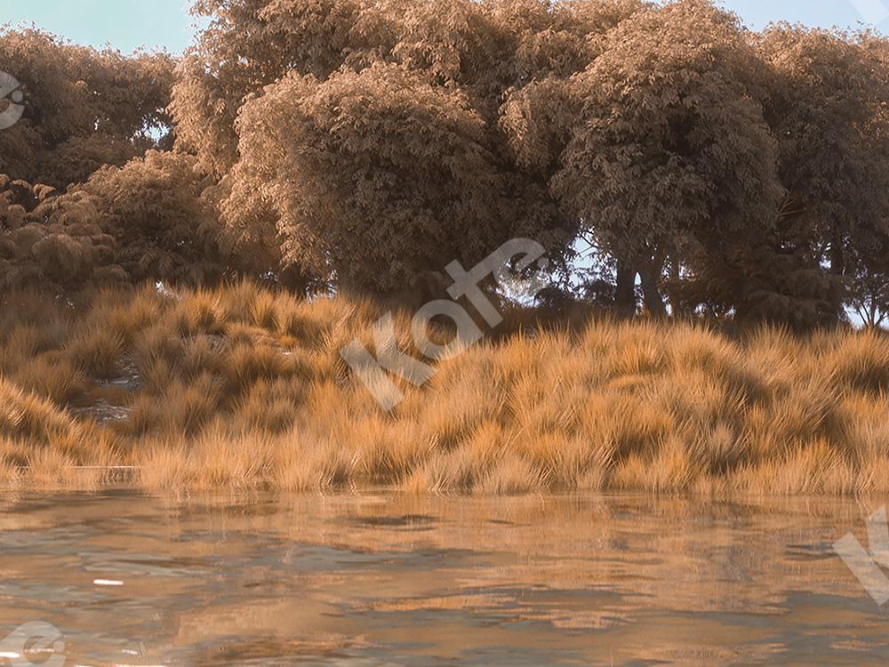 Kate Autumn Forest Backdrop by the River Designed by Jia Chan Photography - Kate Backdrop AU