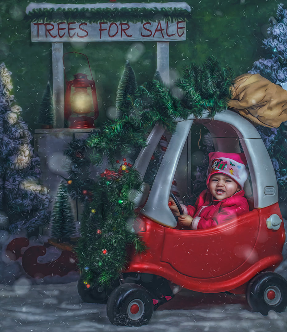Kate Christmas Trees Stand Backdrop Designed by Emetselch - Kate Backdrop AU