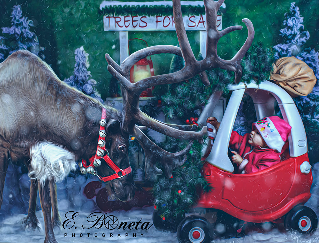 Kate Christmas Trees Stand Backdrop Designed by Emetselch - Kate Backdrop AU
