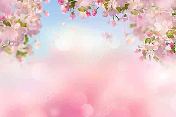 Kate Spring Cherry Peach Blossom Backdrop Designed by Chain Photography - Kate Backdrop AU