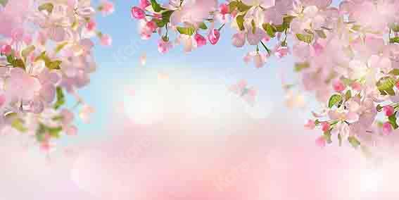 Kate Spring Cherry Peach Blossom Backdrop Designed by Chain Photography - Kate Backdrop AU