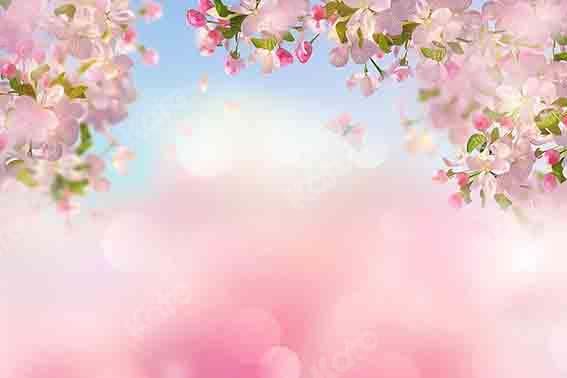 Kate Spring Cherry Peach Blossom Backdrop Designed by Chain Photography - Kate Backdrop AU