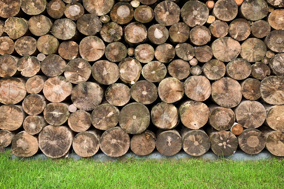 Kate Wood Wall Backdrop Green Lawn Designed by Emetselch - Kate Backdrop AU