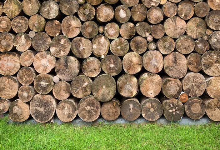 Kate Wood Wall Backdrop Green Lawn Designed by Emetselch - Kate Backdrop AU