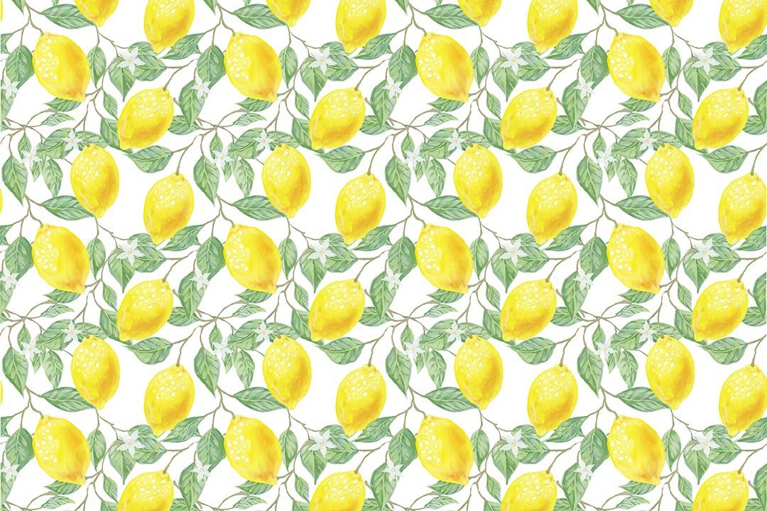 Kate Spring/Summer Yellow Fresh Lemons Backdrop Designed by Chain Photography - Kate Backdrop AU