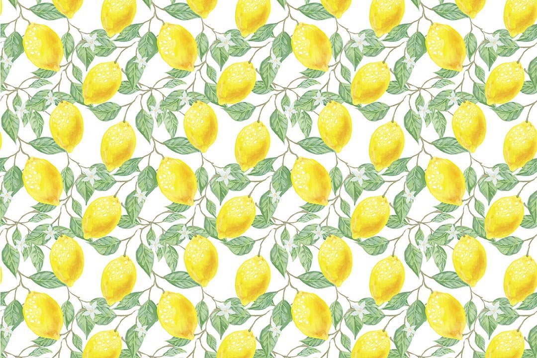 Kate Spring/Summer Yellow Fresh Lemons Backdrop Designed by Chain Photography - Kate Backdrop AU