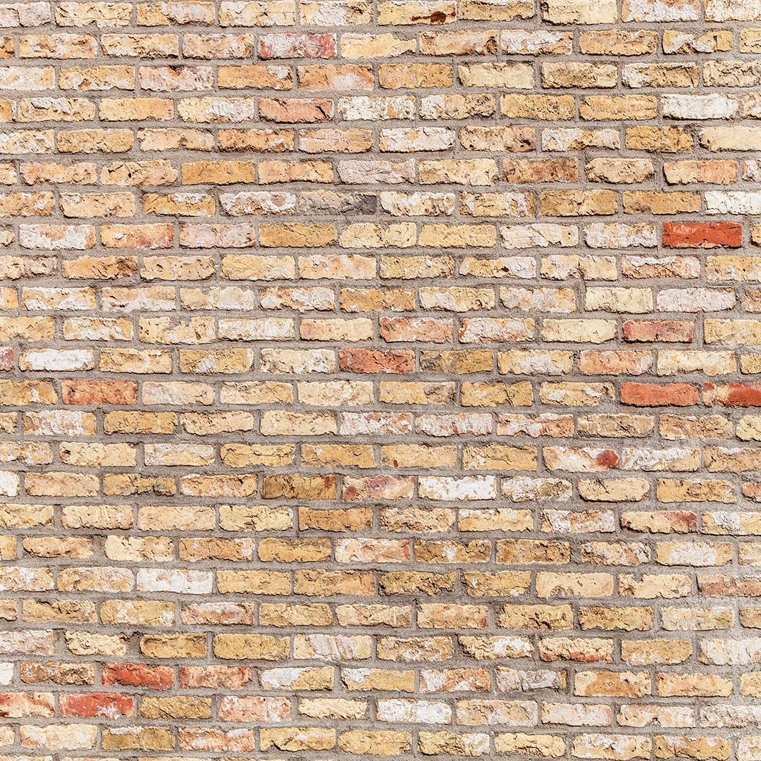 Kate Primary Color Brick Wall Backdrop Designed by Kate Image - Kate Backdrop AU