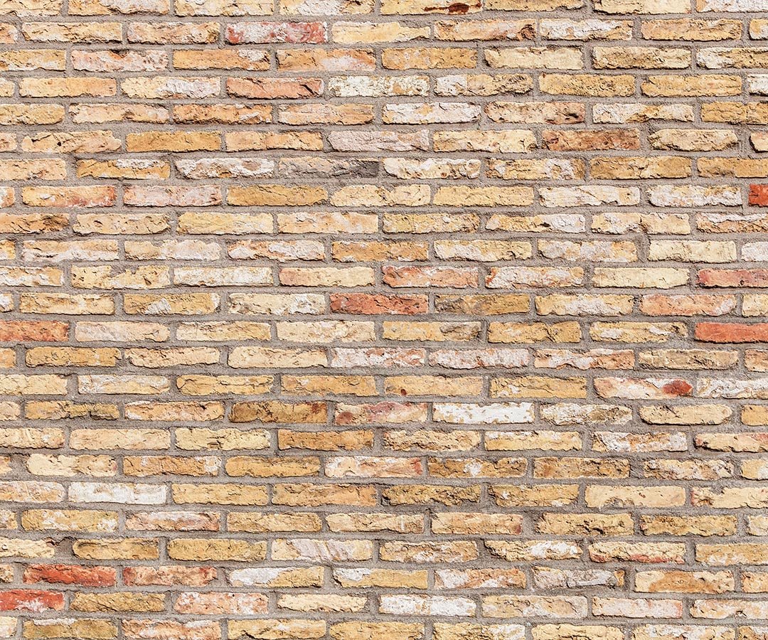 Kate Primary Color Brick Wall Backdrop Designed by Kate Image - Kate Backdrop AU