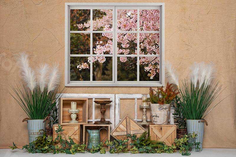 Kate Spring Indoor Window Cherry Blossoms Backdrop Designed by Emetselch - Kate Backdrop AU