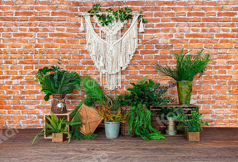 Kate Boho Retro Brick Wall and Plants Backdrop Designed by Emetselch - Kate Backdrop AU