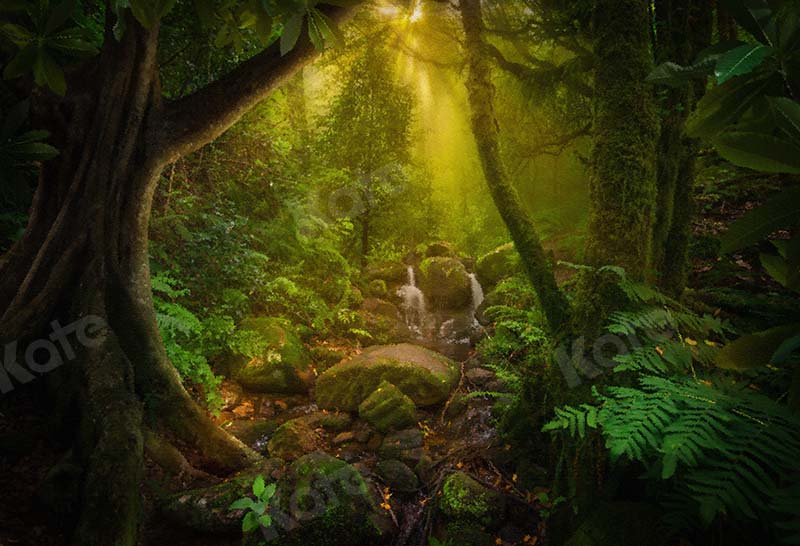 Kate Jungle Forest Summer Backdrop Designed by Chain Photography - Kate Backdrop AU