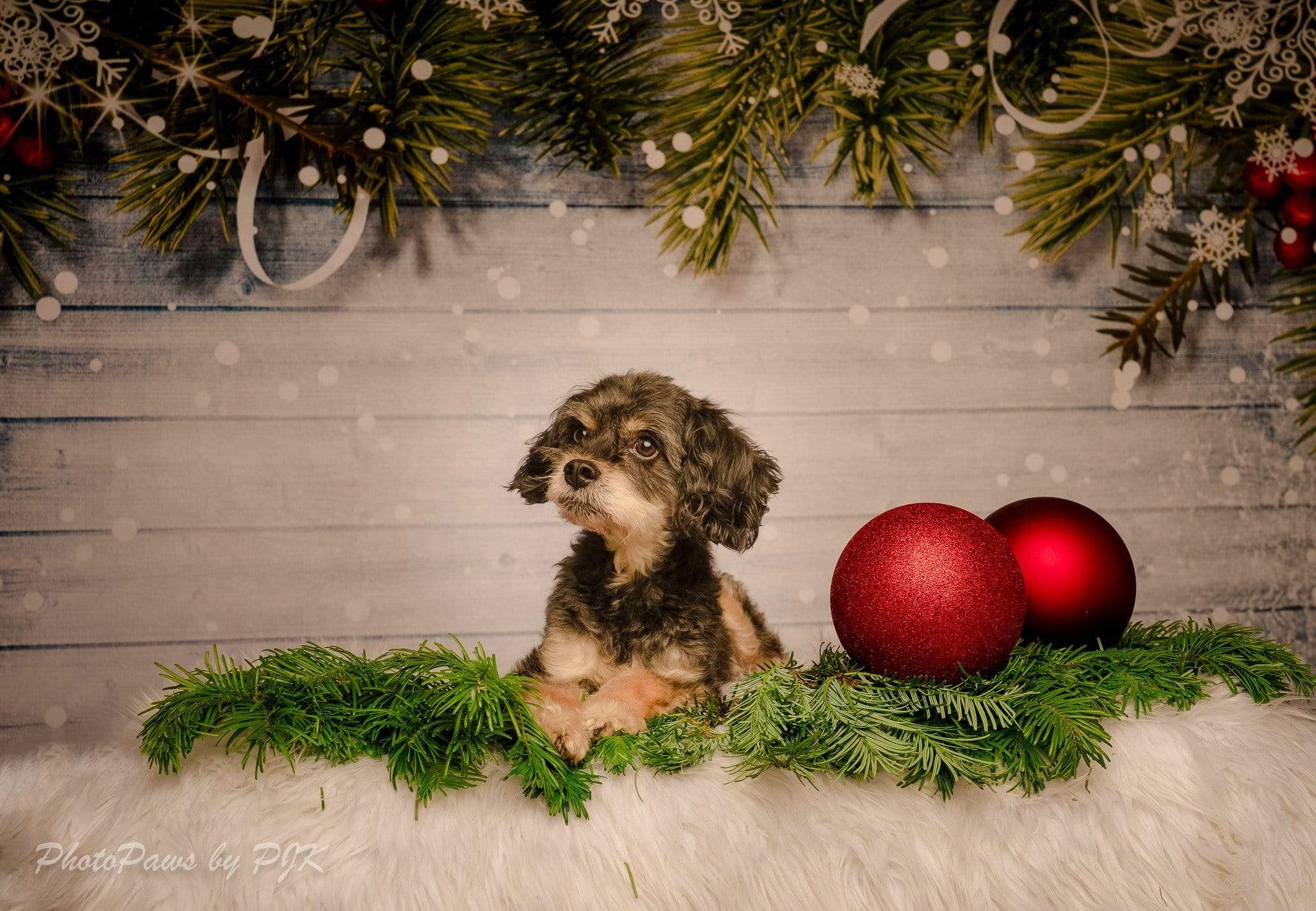 Kate wooden bokeh Christmas Backdrop Pine branches decoration - Kate Backdrop AU