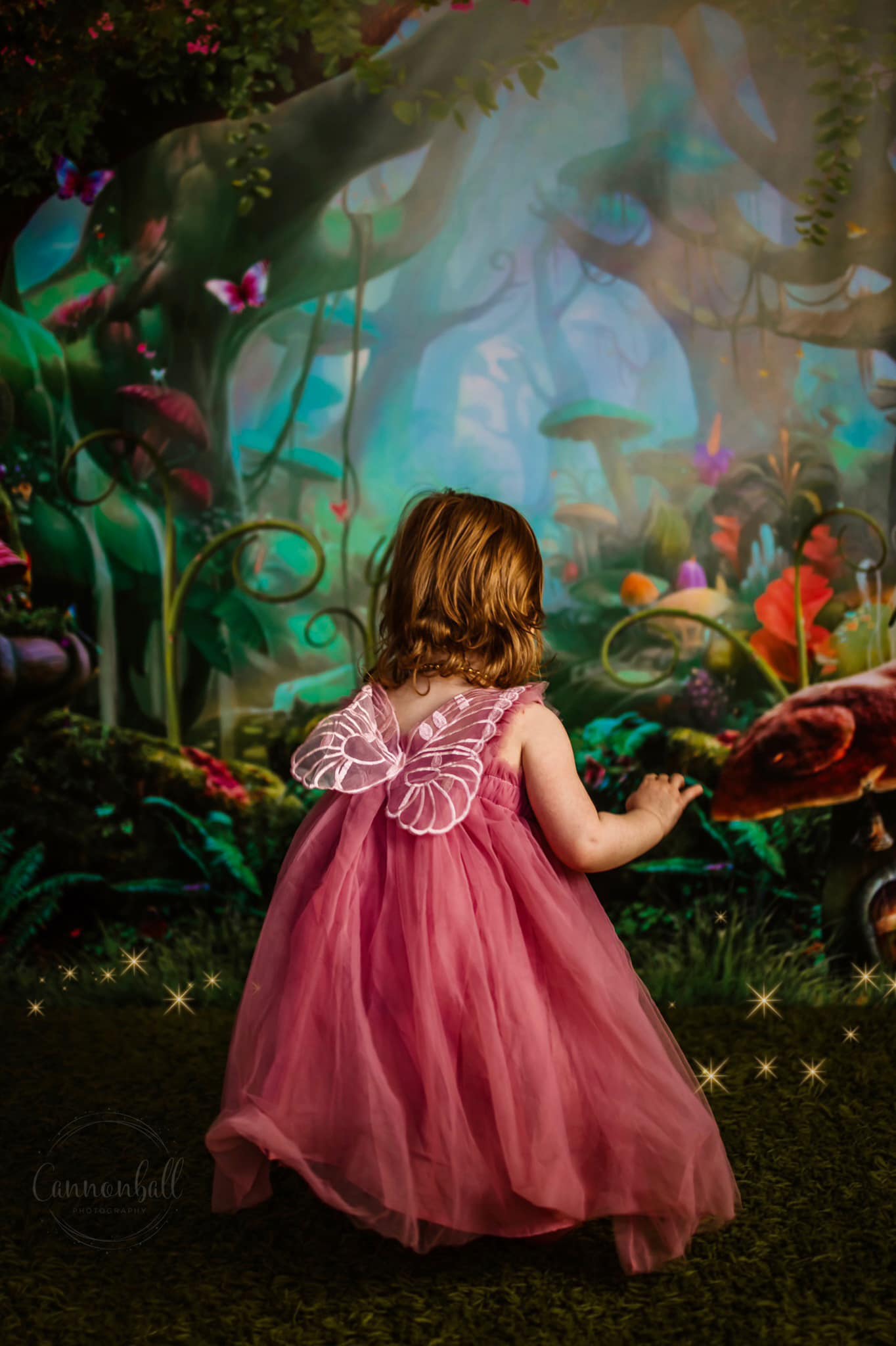 Kate Children Fairy Tale Wonderland Forest Mushrooms Backdrops - Kate Backdrop AU