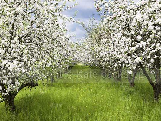 Katebackdrop Kate White Floral Tree Sea Background Green Grassland