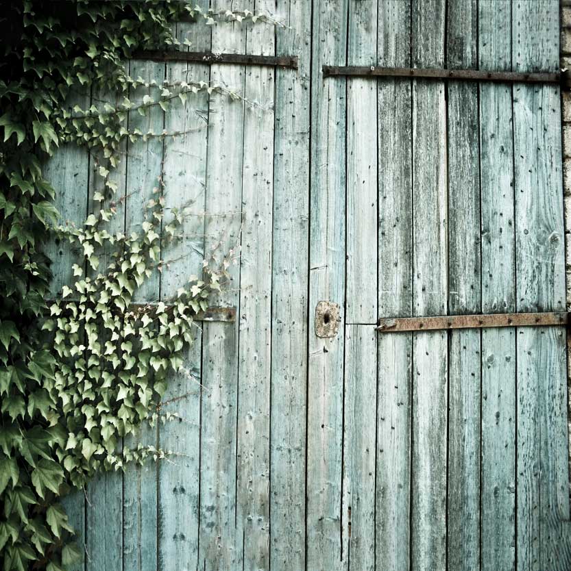 Kate Old Barn Door Spring Backdrop for Children Photography - Kate Backdrop AU