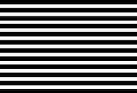 Kate Black and White Backdrop stripe for party/birthday - Kate Backdrop AU