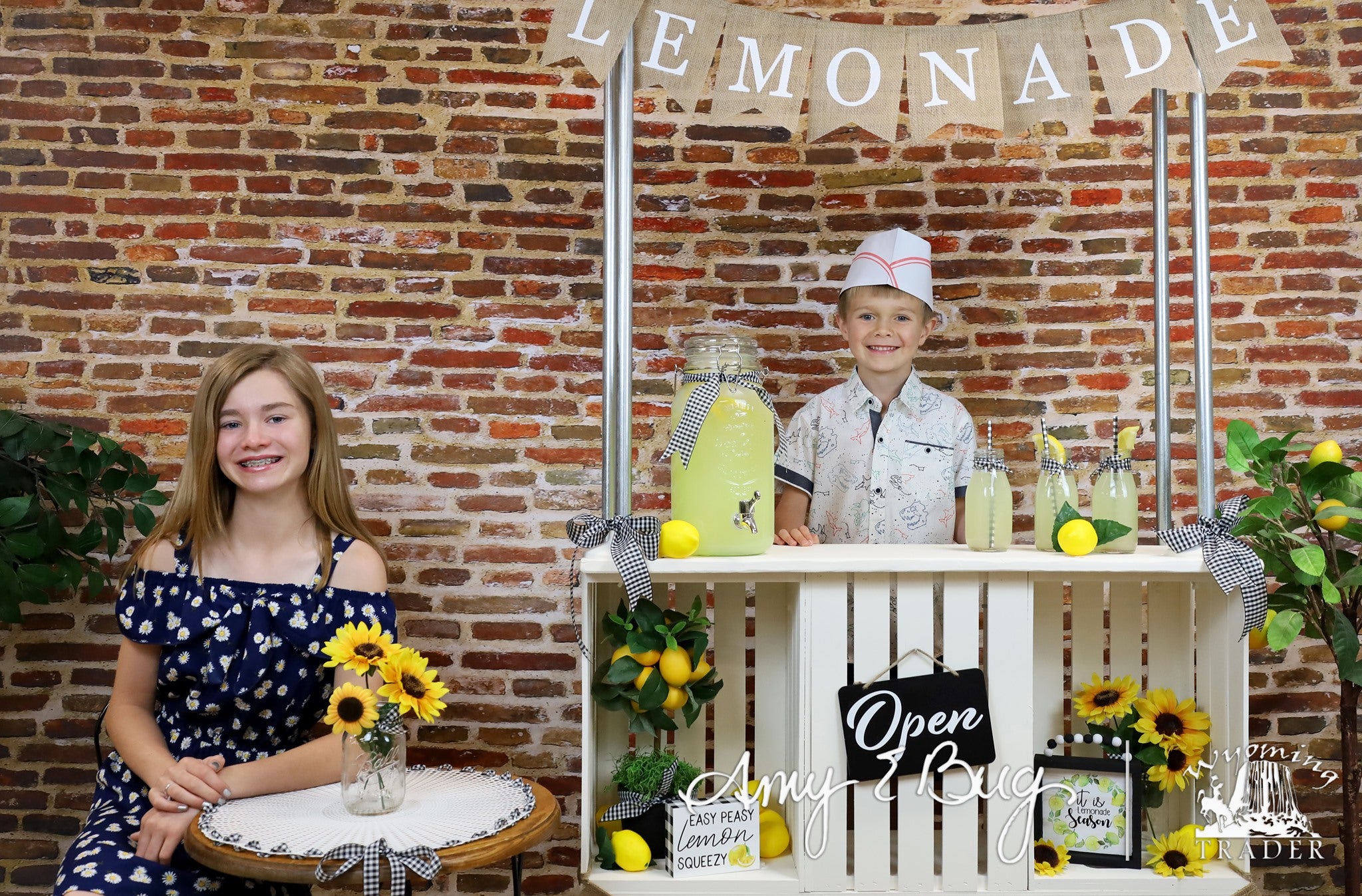 Kate Vintage Red Brick Wall for Photography - Kate Backdrop AU