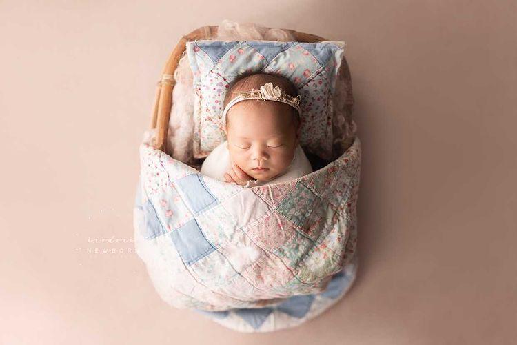 Kate Fine Art Textured Pink / Light Grey Collapsible Backdrop Photography 5X6.5ft(1.5x2m) - katebackdrop AU