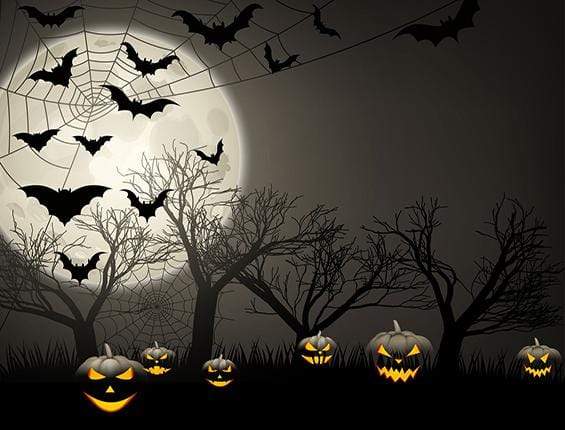 Kate Halloween Moon Gloomy Woods with Bats And Pumpkin Backdrop for Photography - Kate Backdrop AU