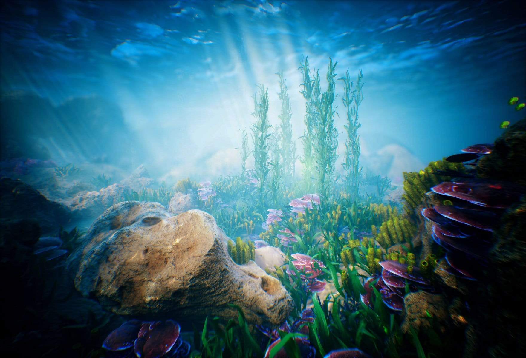 Kate Sweet summer Underwater world Backdrop for Photography - Kate Backdrop AU