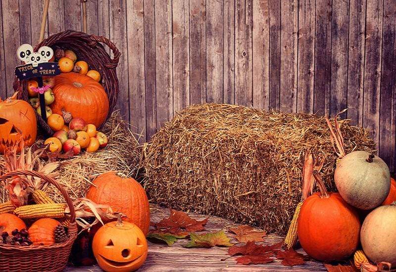 Kate Halloween Fall Pumpkin Grass Pile Farm Backdrop Photography - Kate Backdrop AU