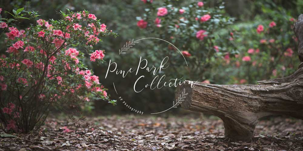 Kate Garden with log bench spring Backdrop for Photography Designed by Pine Park Collection - Kate Backdrop AU
