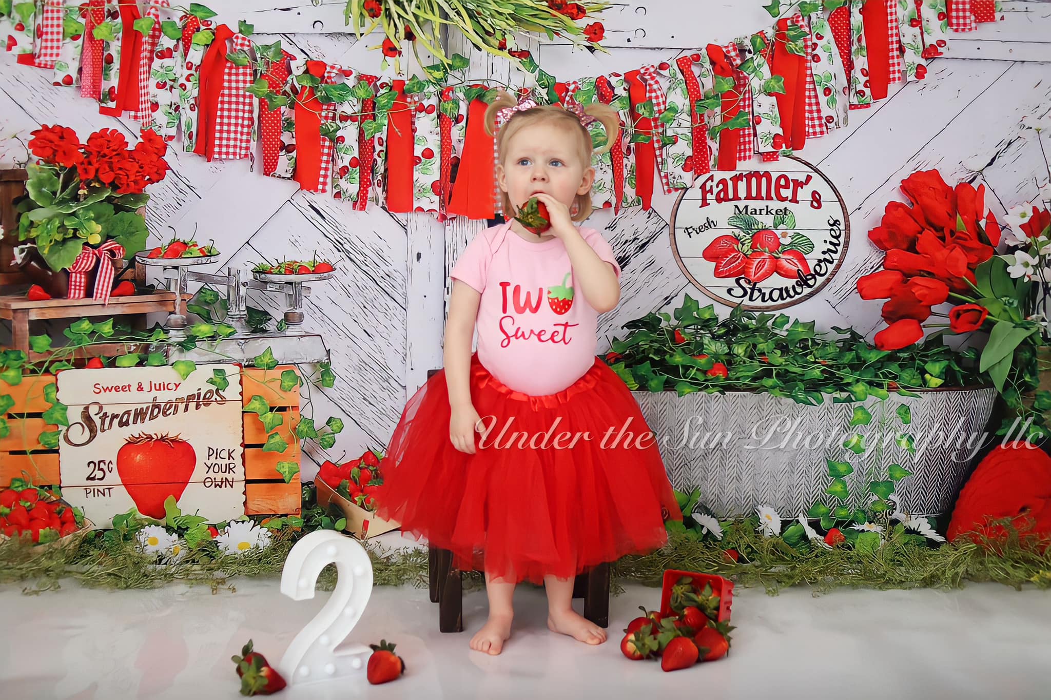 Kate Summer Strawberry White Wooden Board With Banners Backdrop - Kate Backdrop AU