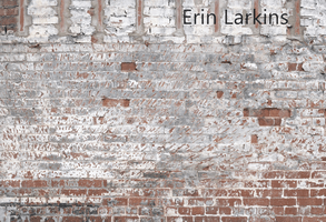 Kate Faded Retro Brick Backdrop for Photography Designed by Erin Larkins - Kate Backdrop AU