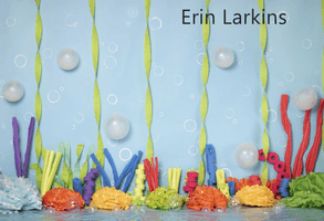Kate Cake Smash doo doo doo Backdrop Designed by Erin Larkins - Kate Backdrop AU